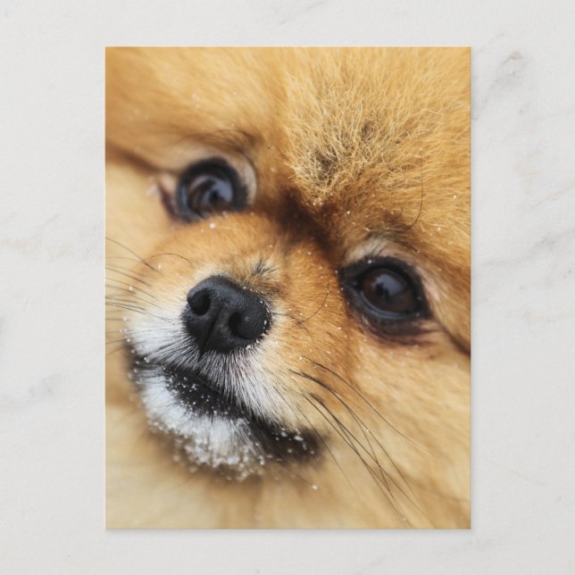 Edgrr #1 vykort (Framsida)