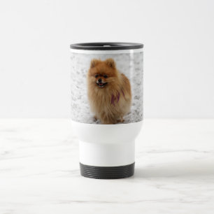 Edgrrrr #2 - Pomeranian Resemugg