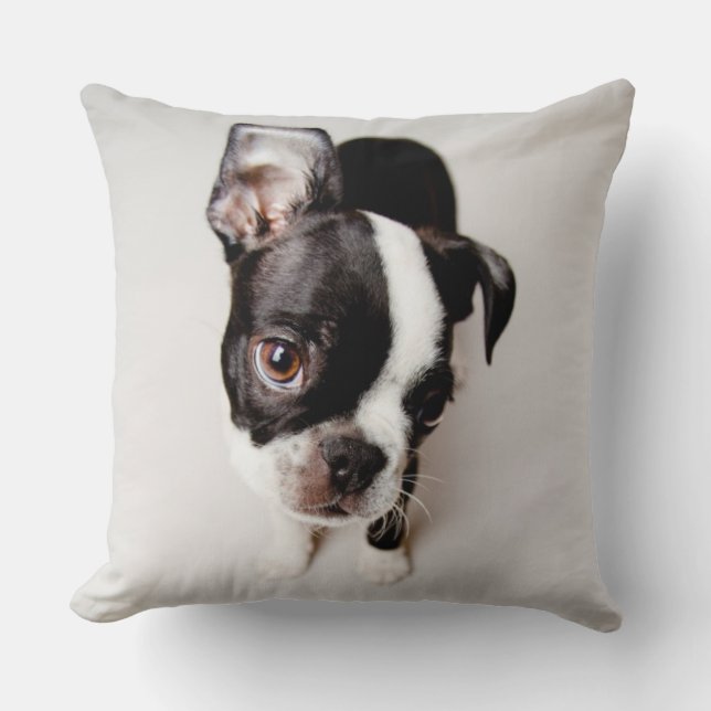 Edison Boston Terrier-valp. Kudde (Framsida)