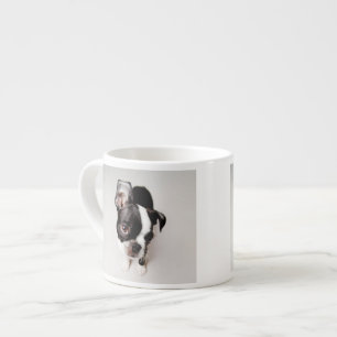 Edison Boston Terrierpuppy. Espressomugg