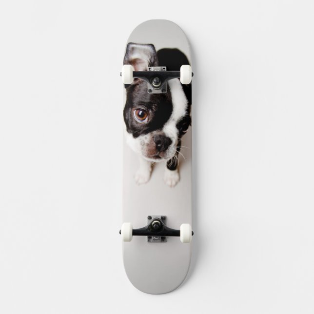 Edison Boston Terrierpuppy. Old School Skateboard Bräda 18 Cm (Framsida)