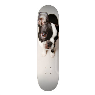 Edison Boston Terrierpuppy. Old School Skateboard Bräda 18 Cm