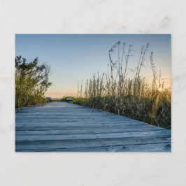 Edisto Beach, South Carolina Vykort