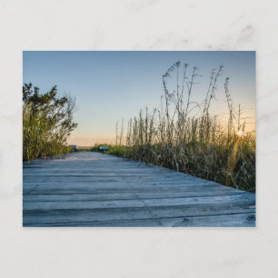 Edisto Beach, South Carolina Vykort