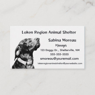 Editable Animal Shelter Visitkort