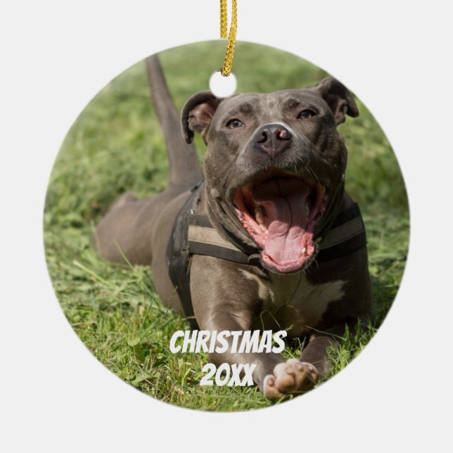 Editable Brown Pitbull i gräs Julgransprydnad Keramik (Framsidan)