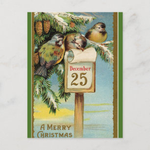 Editable Chickadees den 25 december Vykort