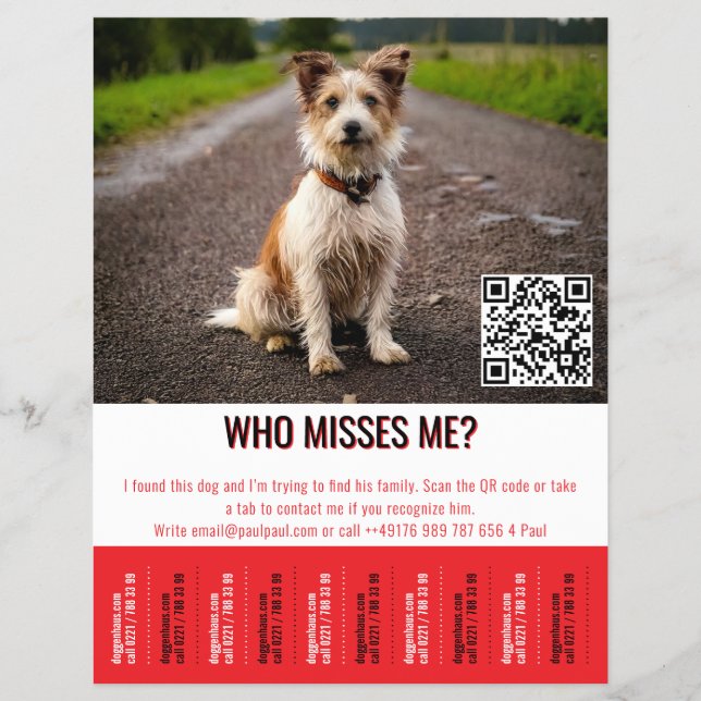 Editable Found Dog Poster With QR Code & Tear‑Off  Reklamblad (Framsidan)