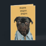 Editable Funny Sniffing Hund Birthday Kort<br><div class="desc">Det här roliga födelsedagskortet innehåller ett foto av en hund med orden "Sniff". Sniff. Sniff" ovanför det. Det finns också ett redigerbart meddelande på kortets insida. Detta kort kan användas för födelsedagar, årsdagar, ursäkter osv. Ändra bara meddelandet på insidan till kostym till dina behov. Även bakgrunden färg på alla sidor...</div>