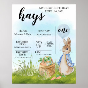 Editable, Milestone-diagram, Peter Rabbit, Bunny Poster