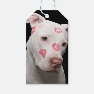 Editable Pitbull Älskare Presentetikett