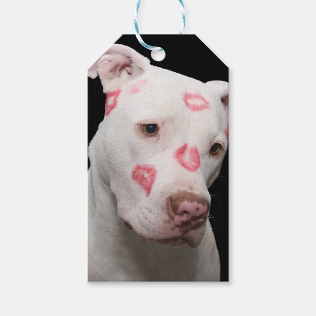 Editable Pitbull Älskare Presentetikett (Framsidan)