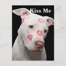 Editable Pitbull Älskare Vykort