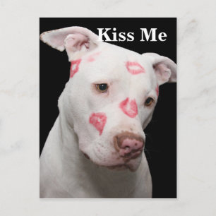 Editable Pitbull Älskare Vykort