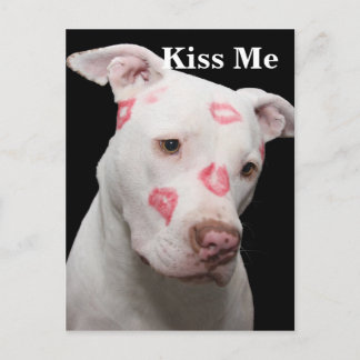 Editable Pitbull Älskare Vykort