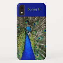 Editable Proud Peacock Blues and Grönts