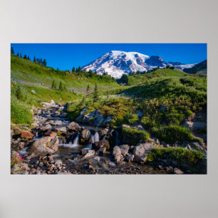 Edith Bäck och Mount Rainier MorgLight Poster