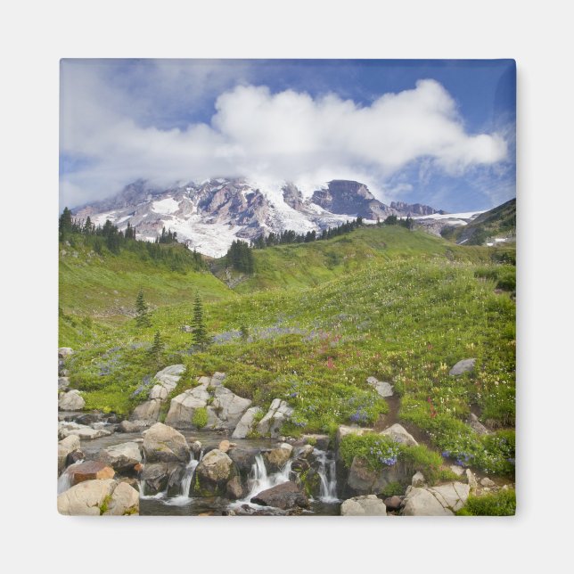 Edith Bäck och vildblommor vid Paradise Magnet (Framsidan)