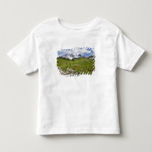Edith Creek och ängar med vilda blommor vid Paradi T-shirt
