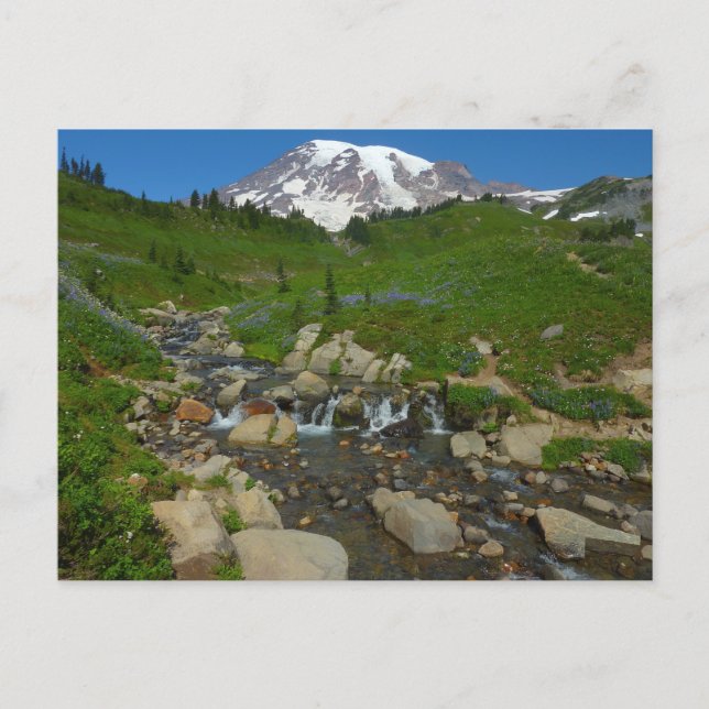 Edith Creek vid Mount Rainier National Park Vykort (Framsida)