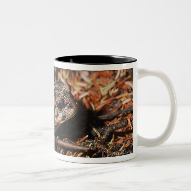 edmonton alberta, Kanada 3 Två-Tonad Mugg (Höger)