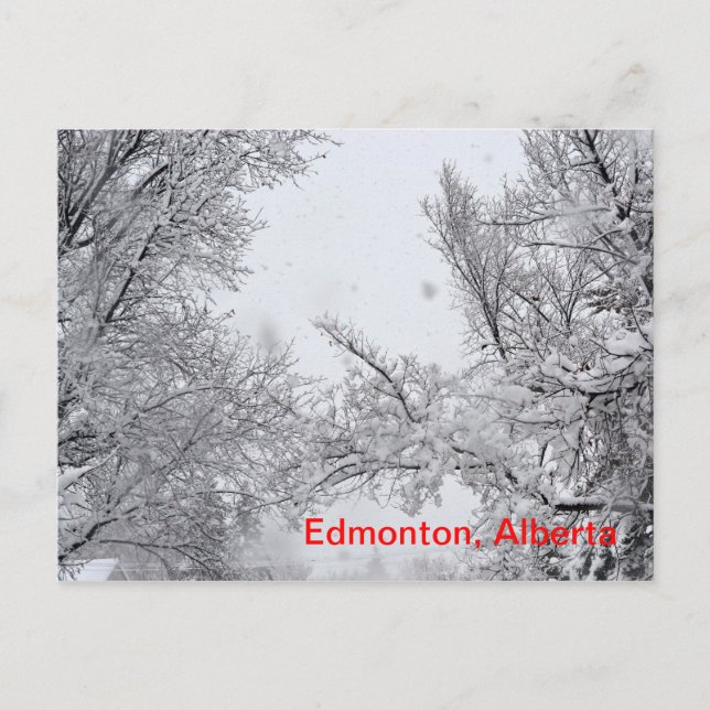 Edmonton, Alberta Winter-vykort Vykort (Framsida)