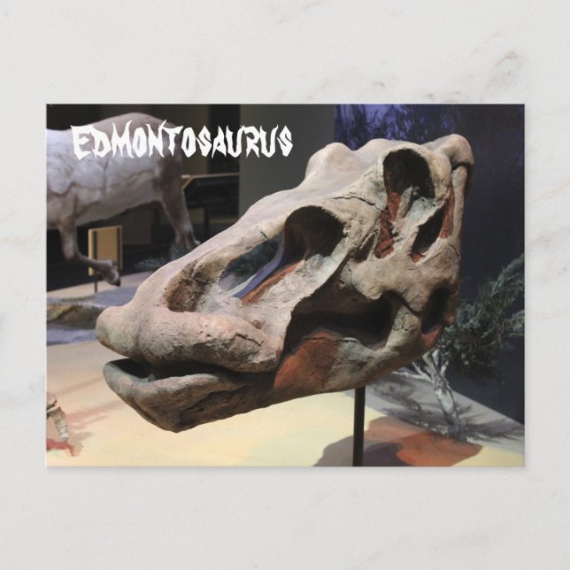 Edmontosaurus Vykort (Framsida)