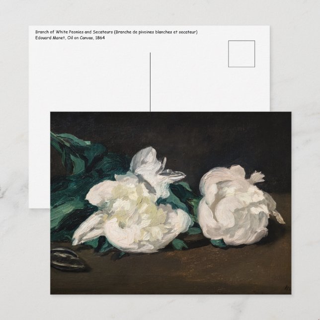 Edouard Manet - Gren of White Peonies, Secateurs Vykort (Fram/baksida)
