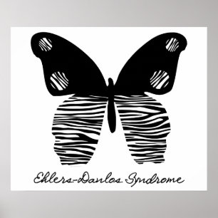 EDS Zebra Rand Butterfly 24X20-Poster Poster