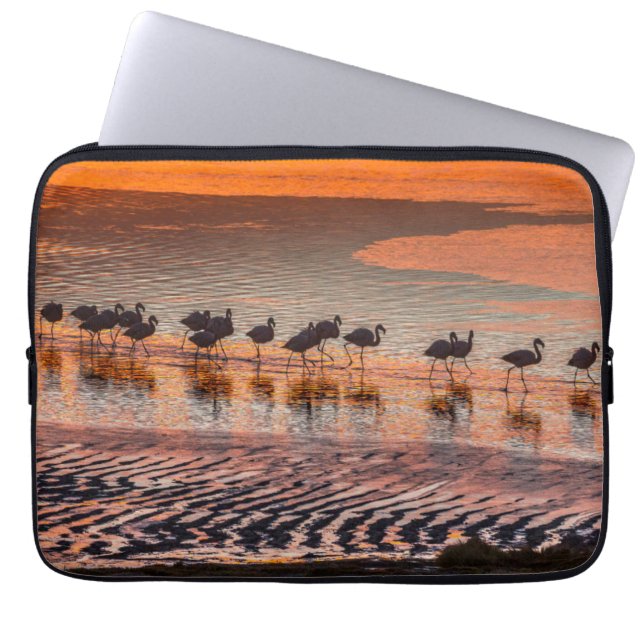 Eduardo Abaroa Andean Fauna Nationalreservat Laptop Fodral (Framsidan)