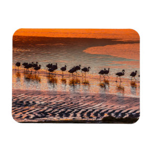Eduardo Abaroa Andean Fauna Nationalreservat Magnet