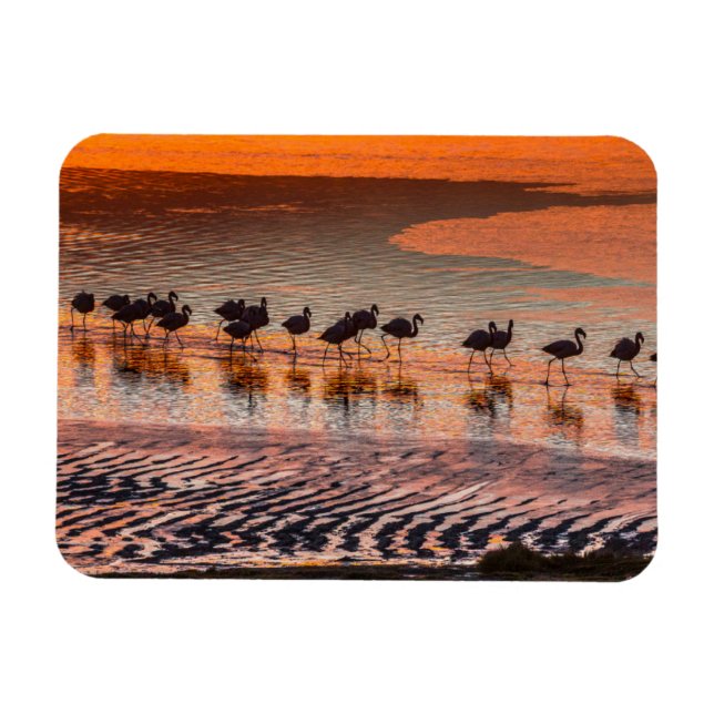 Eduardo Abaroa Andean Fauna Nationalreservat Magnet (Horisontell)