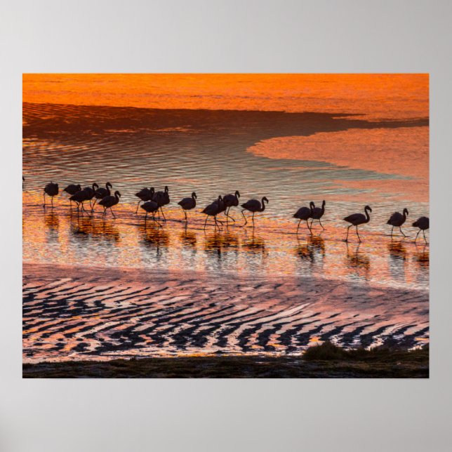 Eduardo Abaroa Andean Fauna Nationalreservat Poster (Framsidan)