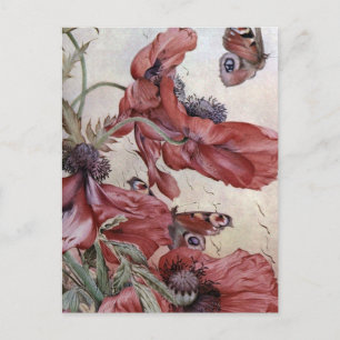 Edward Julius Detmold Poppies och Butterflies Vykort