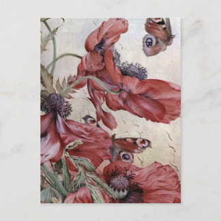 Edward Julius Detmold Poppies och Butterflies Vykort