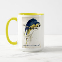 Edward Lear Bird Collection Blue och Gult Macaw