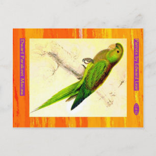 Edward Lear. Dwarf Parakeet Macaw. Vykort
