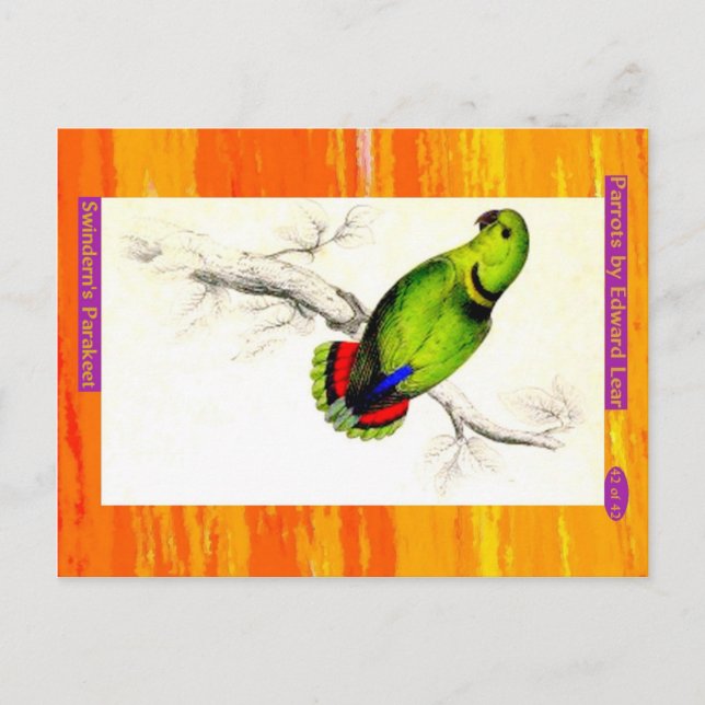 Edward Lear. Swindern's Parakeet. Vykort (Framsida)
