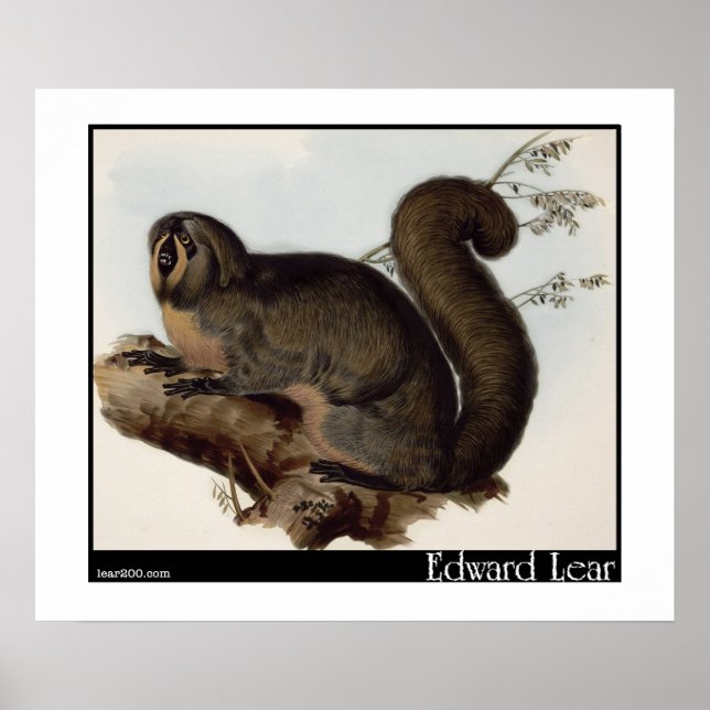 Edward Lear's Whiskered Yarke Poster (Framsidan)