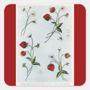 Edwardian Strawbär Sticker Fyrkantigt Klistermärke