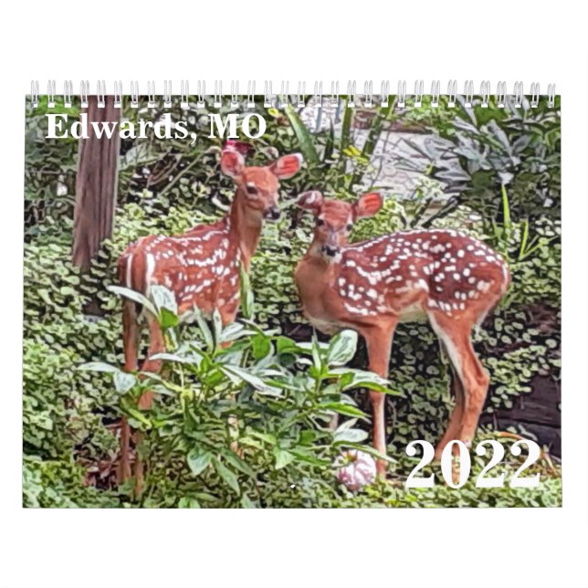 Edwards, MO 2022 Calendar Kalender (Omslag)