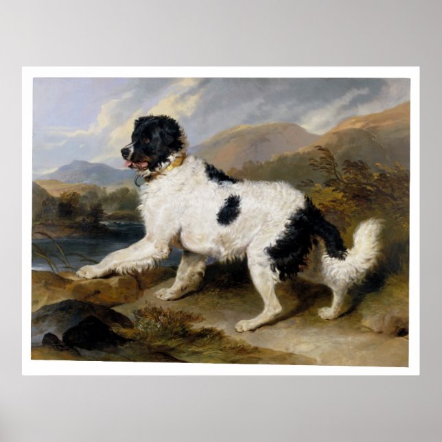 Edwin Henry Landseer Lejon A Newfoundland Hund Poster (Framsidan)