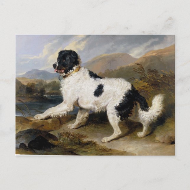 Edwin Henry Landseer Lejon A Newfoundland Hund Vykort (Framsida)