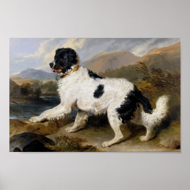 Edwin Henry Landseer | Lejona- A Newfoundland Hund Poster (Framsidan)