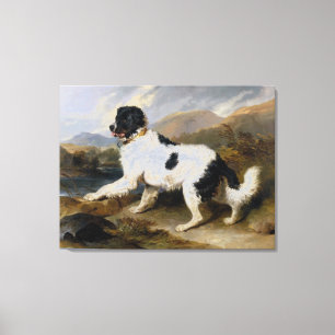 Edwin Henry Landseer Lejonare A Newfoundland Hund Canvastryck