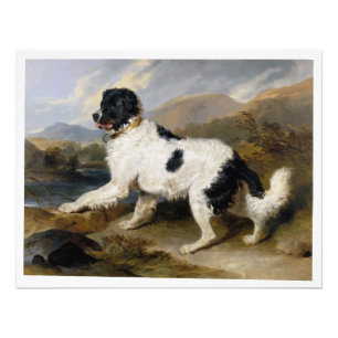 Edwin Henry Landseer Lejonare A Newfoundland Hund Fototryck