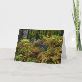 ee cummings prayer - Ferns and Stones Tack Kort