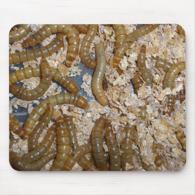 Eeewww…, - Mousepad Musmatta (Framsidan)