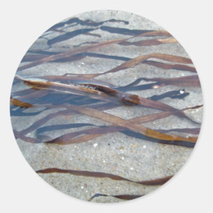 Eel Grass Sjögräs Sticker Runt Klistermärke
