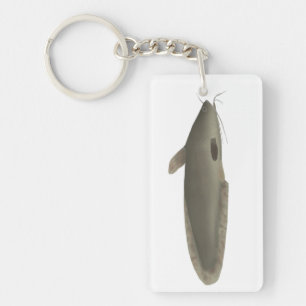 Eeltail Catfish